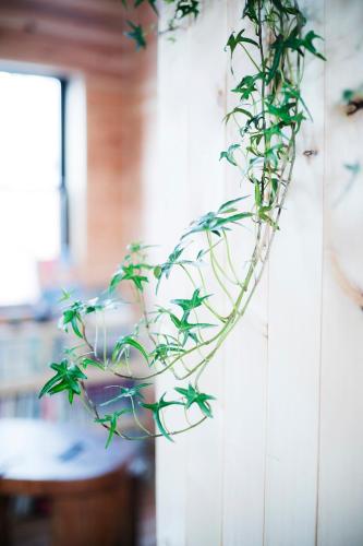 a plant is hanging on a wall at Ise Guest House Kazami in Ise