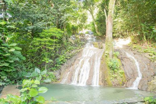 a waterfall in the middle of a forest at Platon Ecolodge in Santa Cruz de Barahona