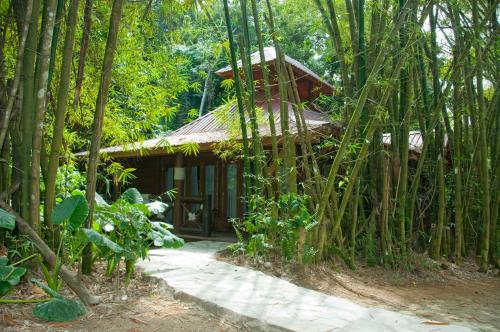 a small house in the middle of a forest at Platon Ecolodge in Santa Cruz de Barahona