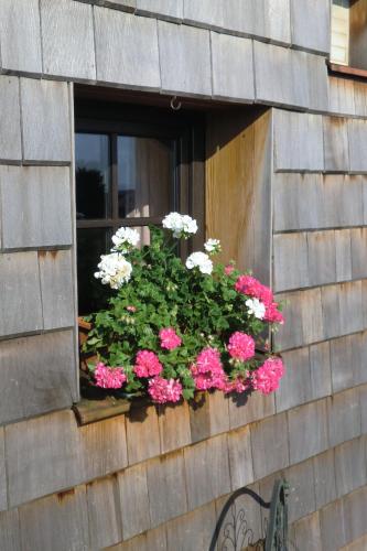 a window box with pink and white flowers in it at Pension St. Georg mit Moststüberl in Bad Griesbach
