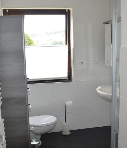 a bathroom with a toilet and a sink and a window at Ferienwohnung Nüdling in Hilders