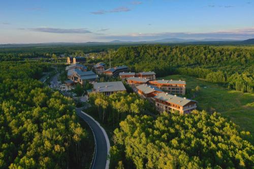 an aerial view of a town in the middle of a forest at Pullman Changbaishan Resort in Fusong