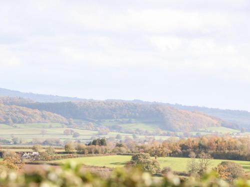 a view of a field with trees in the distance at The Onibury in Craven Arms