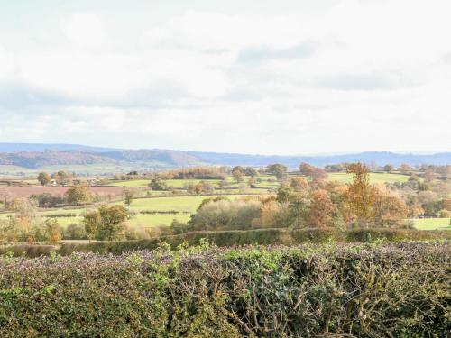 a view of a field with trees and bushes at The Onibury in Craven Arms