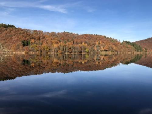 a lake in the middle of a forest with its reflection at Villa Im Bongert - Tor zum Nationalpark Eifel in Hellenthal