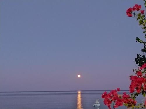 Φυσικό τοπίο κοντά σε αυτό το διαμέρισμα