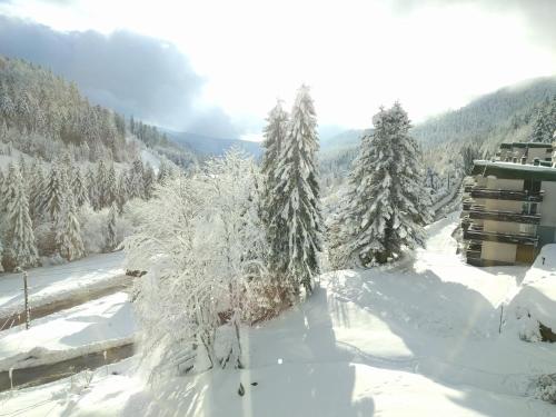 Studio sous les pistes avec vue sur la vallée v zimě