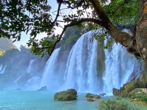 a waterfall in the jungle with a tree at Yen Nhi Homestay Ban Gioc in Cao Bằng
