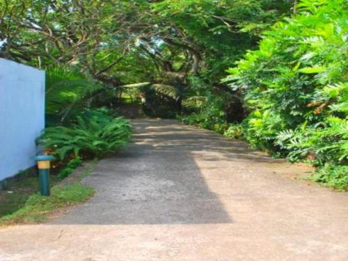 a path in a park with trees and a parking meter at Jagabay Resort & Surfing School in Weligama