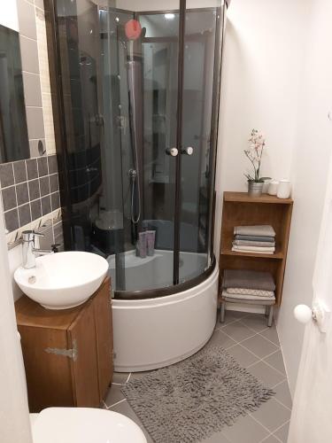 ein Bad mit einer Dusche und einem Waschbecken in der Unterkunft Old Town Family Apartment in Valga