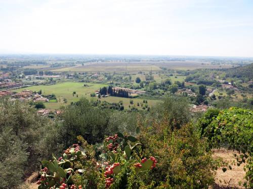 een uitzicht vanaf de top van een heuvel met bomen bij Holiday Home L'Uccelliera by Interhome in Il Prato