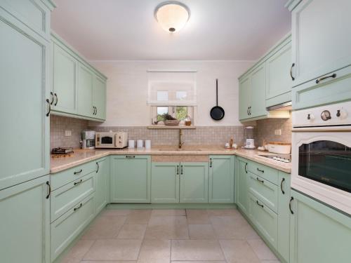 een groene keuken met witte kasten en apparatuur bij Villa Lucija by Interhome in Pazin