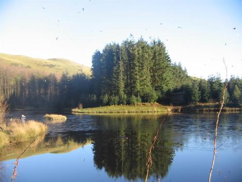 a view of a river with trees in the background at The Old School House Bed and Breakfast in Llanbrynmair
