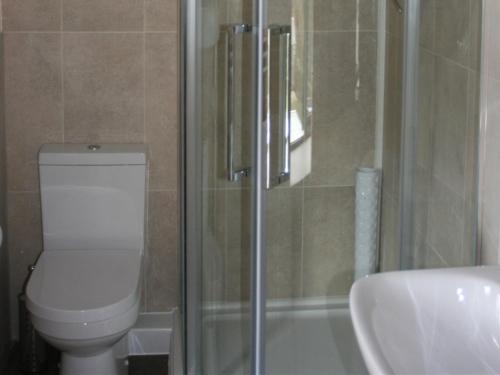 a bathroom with a toilet and a shower and a sink at The Old School House Bed and Breakfast in Llanbrynmair