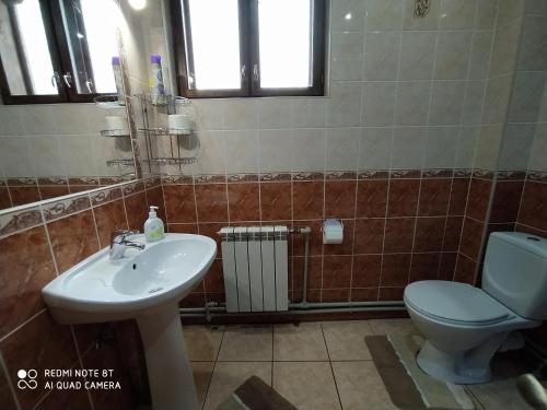 a bathroom with a toilet and a sink at Boykivska Familiya in Yaremche