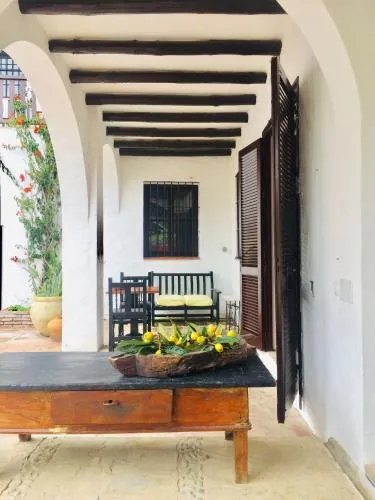 El Molino Estepona photo 33