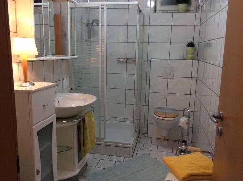 a bathroom with a shower and a toilet and a sink at Ferienwohnung Stirnbergblick in Ehrenberg