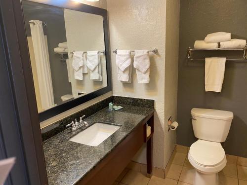 een badkamer met een toilet, een wastafel en een spiegel bij Home2 Suites By Hilton Somerset, Ky in Somerset