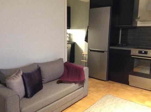 ein Wohnzimmer mit einem Sofa und einer Küche in der Unterkunft Viihtyisä asunto keskustassa palvelujen lähellä in Heinola