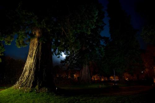 Gambar di galeri bagi Kilmichael House di Drumnadrochit
