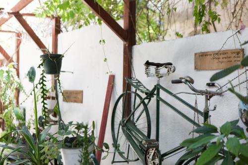 a bike parked next to a wall with plants at Tzefania Hotel in Jerusalem