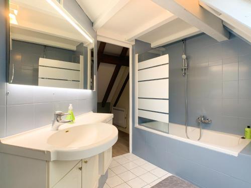 une salle de bain avec un lavabo et une douche dans l'établissement Le Cocon - Classé 3 étoiles - Avec garage, à 5mn du centre, à Strasbourg