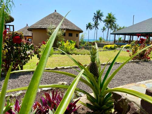 a pineapple plant in front of a house at Lemon Beach Resort in Elmina