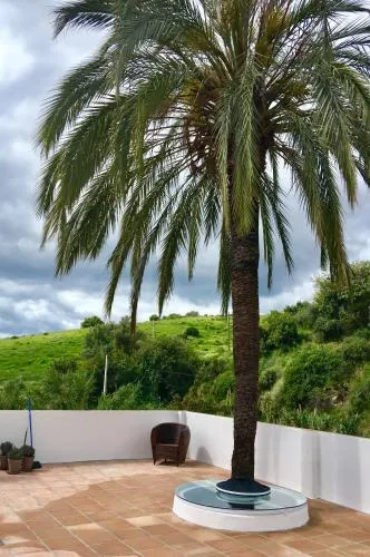 El Molino Estepona photo 55