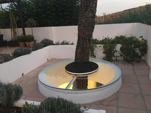 El Molino Estepona photo 95