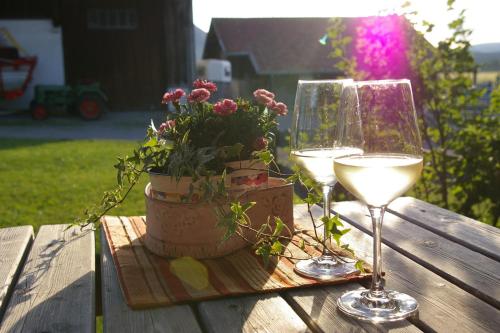zwei Gläser Wein auf einem Holztisch mit Topfpflanze in der Unterkunft Ferienhof Hierl in Burgberg