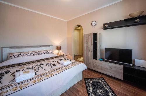 a bedroom with a large bed and a flat screen tv at Apartment Africa in Belgrade
