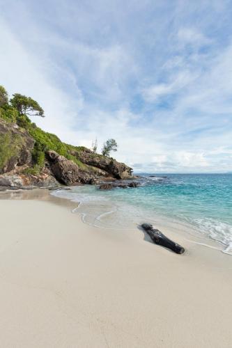 a dead animal laying on a beach next to the ocean at Constance Tsarabanjina - All Inclusive in Nosy Mitsio