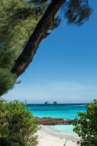 a view of the beach from under a tree at Constance Tsarabanjina - All Inclusive in Nosy Mitsio