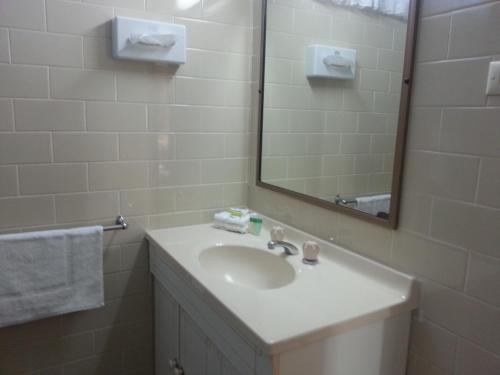 a bathroom with a sink and a mirror at Big Valley Lakeside Paradise Motor Inn in Shepparton