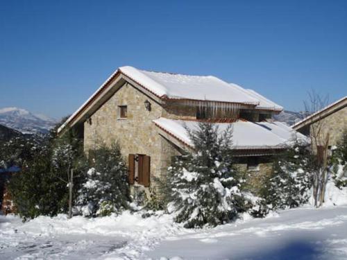 a house with snow on top of it at Georgio's V Chalet Kalavrita in Kalavrita