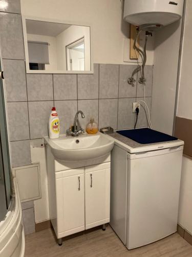 a small bathroom with a sink and a mirror at Piebalgas street apartment in Cesis in Cēsis
