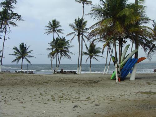 a beach with palm trees and a surfboard on it at Apartamento en BalaBeach María Chiquita in front of the beach 2hab in Colón