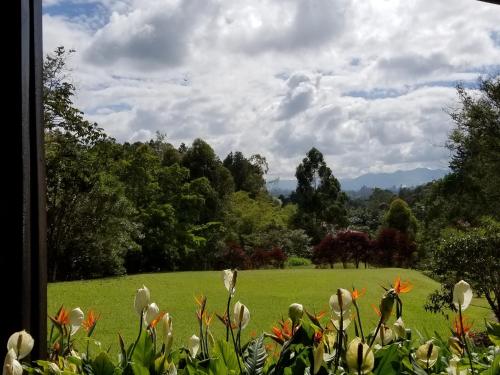 a field of green grass with trees and flowers at Ensenillo Hotel Boutique in Rionegro