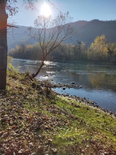 Gallery image of Brvnara Maljkovic Drina in Gvozdac