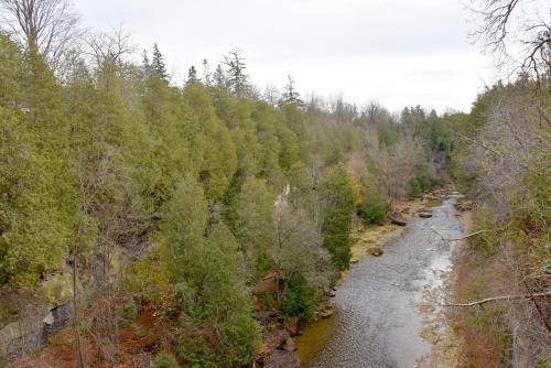 an aerial view of a river in a forest at Staybridge Suites - Waterloo - St. Jacobs Area in Waterloo