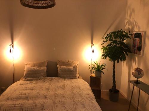 a bedroom with a bed with two lamps and a plant at Appartement op top locatie in Antwerpen in Antwerp