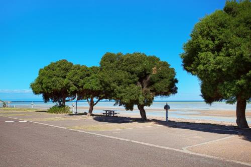 a park with trees and a bench on the beach at Discovery Parks - Whyalla Foreshore in Whyalla