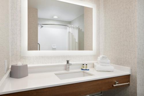 a bathroom with a sink and a mirror at Holiday Inn Express Hotel & Suites Salem, an IHG Hotel in Salem