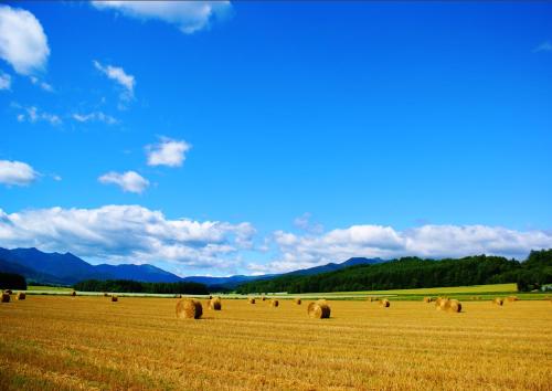 a field of hay with mountains in the background at Farm Stay Ezura Farm in Engaru