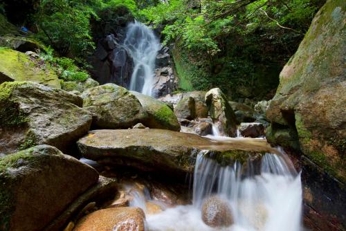 a waterfall in a forest with rocks and trees at Sun Hotel Tosu Saga in Tosu