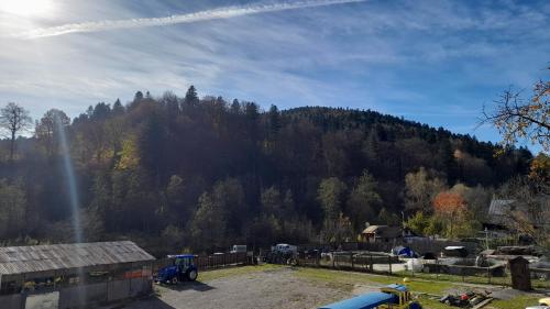 a view of a mountain with a field and trees at Pensiunea Lucy in Sinaia