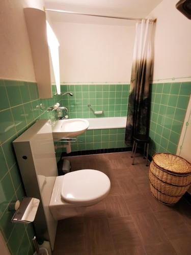 a green bathroom with a toilet and a sink at Apartments Haus Quelle in Leukerbad