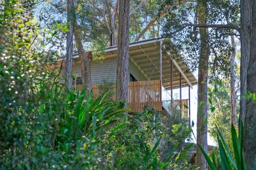 una casa en el árbol con terraza en el bosque en Pure Valley Estate, en Lower Mangrove