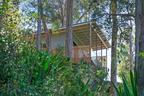 a tree house with a deck in the woods at Pure Valley Estate in Lower Mangrove