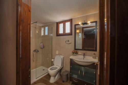 a bathroom with a toilet and a sink and a shower at Villa Arokaria in Tsilivi